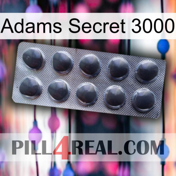 Adams Secret 3000 30.jpg